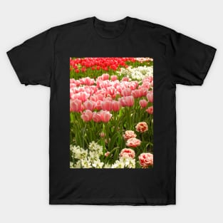 Beautiful Tulips, Keukenhof Tulip Festival, Holland T-Shirt